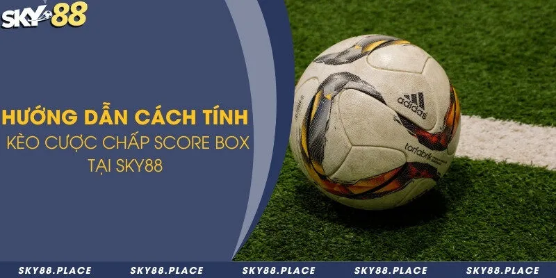 Hướng dẫn cách tính kèo cược chấp score Box tại Sky88