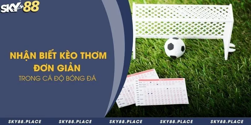 Nhận biết kèo thơm đơn giản trong cá độ bóng đá