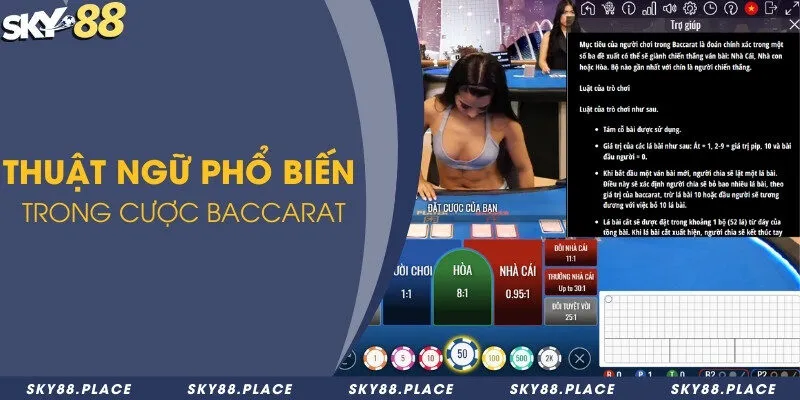 Thuật ngữ phổ biến trong cược baccarat