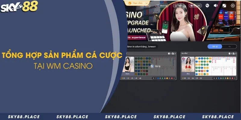 Tổng hợp sản phẩm cá cược tại WM Casino